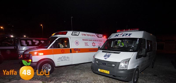 3aregmontreeh520 (26).jpg